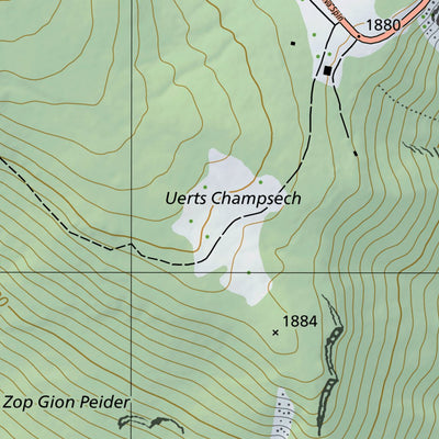SwissTopo Zernez 5, 1:10,000 digital map