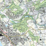 SwissTopo Zürich, 1:25,000 digital map