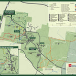 Cedars of Lebanon State Park - Español Preview 1