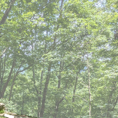 Head of the Crow State Park - Natural Bridge Trailhead Preview 3