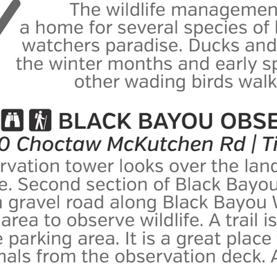 Reelfoot Lake Auto Tour Preview 3