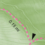 Roan Mountain State Park - Rosebay Ridge Backcountry Camping Preview 3