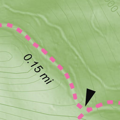Roan Mountain State Park - Rosebay Ridge Backcountry Camping Preview 3