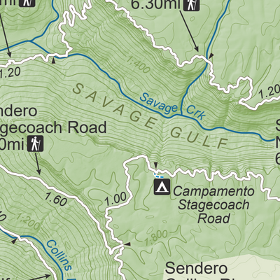 Savage Gulf State Park - Español Preview 3