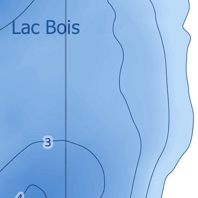 TERFA Bois (lac) - Bathymétrie digital map
