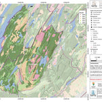 Carte écoforestière des zones 110 et DOMAINE - Orignal Preview 1