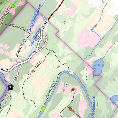 Carte écoforestière des zones de chasse 103-104-106-107 - Orignal Preview 2
