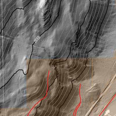 Terra Interpretive Services 092p002 - Lidar DEM digital map
