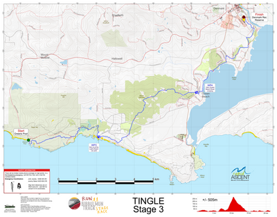 Tingle Stage 3 - 2026 Preview 1