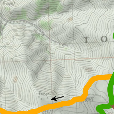 The Great Basin Institute Austin-Toiyabe Mountain Bike Trails digital map