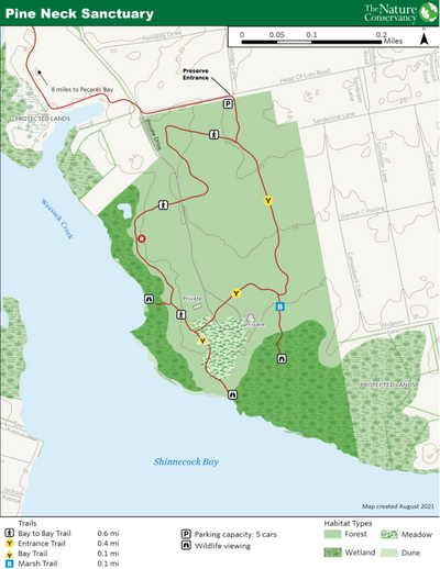 Pine Neck Sanctuary Preview 1