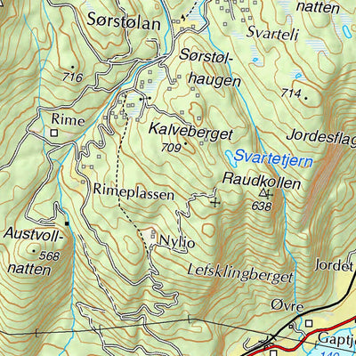 The Norwegian Mapping Authority Municipality of Flå digital map