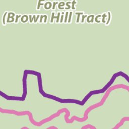 The Regional Municipality of York York Regional Forest Brown Hill Tract digital map