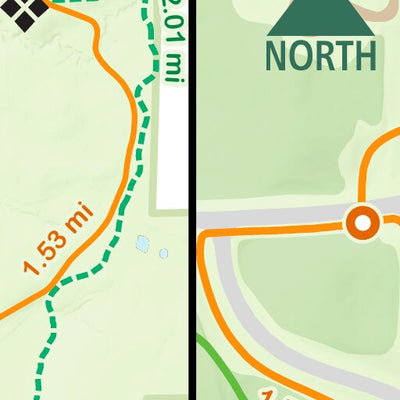 Lake Rebecca Park Reserve Summer Preview 2