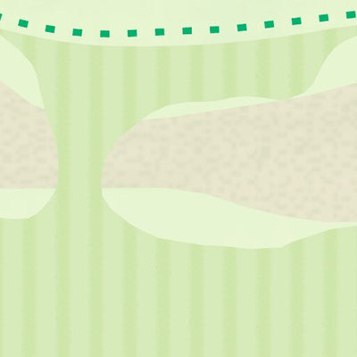 Spring Lake Regional Park Dog Off Leash Area Preview 3