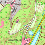 Thüringer Landesamt Für Bodenmanagement Und Geoinformation Lehesten [5534-NO] digital map