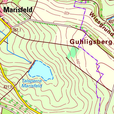 Thüringer Landesamt Für Bodenmanagement Und Geoinformation Themar [5429] digital map