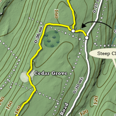 Old Lyme - Champlain South Open Space Trails Preview 2