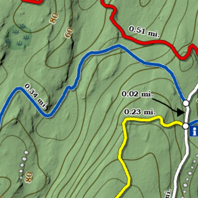 Old Lyme - Champlain South Open Space Trails Preview 3
