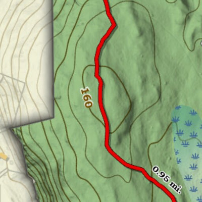 Old Lyme - McCulloch Family Open Space Trails Preview 2