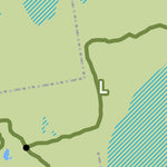 Salem, NH Town Forest Preview 2