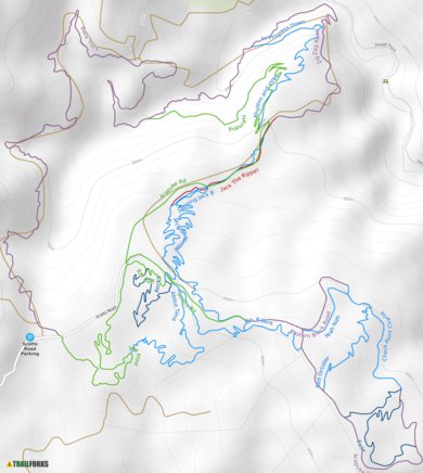 Trailforks Arapuke Forest Mountain Bike Trails digital map