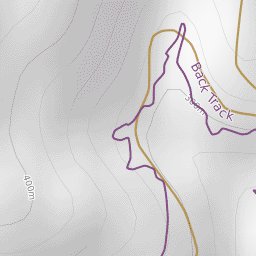 Trailforks Arapuke Forest Mountain Bike Trails digital map