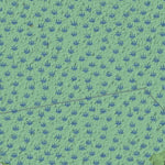 TRLC Great Marsh Trails Preview 2