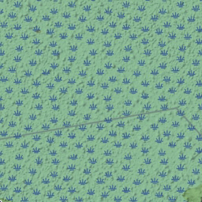 TRLC Great Marsh Trails Preview 2