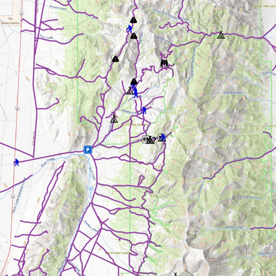 Schell Mountains OHV Trails - Nevada Preview 3