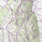 Toiyabe Crest / Arc Dome OHV Trails - Nevada Preview 2