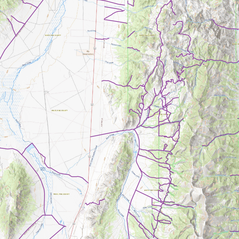 White Pine County OHV Trails - North of Ely - Nevada Map by Trusted ...