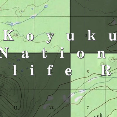 U.S. Fish & Wildlife Service Koyukuk NWR (KUK-12 - #12 of 23) digital map