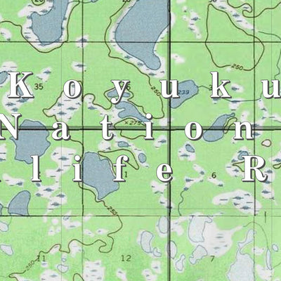 U.S. Fish & Wildlife Service Koyukuk NWR (KUK-18 - #18 of 23) digital map