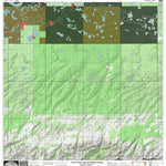 U.S. Fish & Wildlife Service Yukon Flats NWR (YKF-35 - #35 of 48) digital map