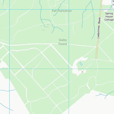 UK Topographic Maps Northumberland (NY95) digital map