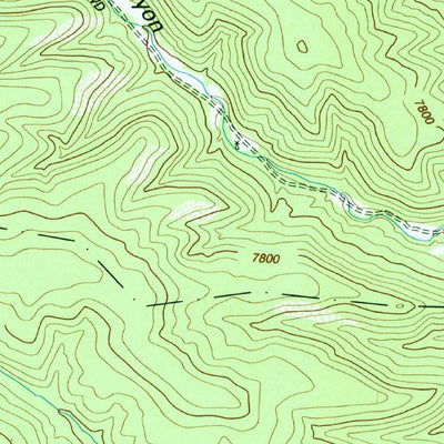 United States Geological Survey Abreu Canyon, NM (1995, 24000-Scale) digital map