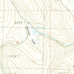 United States Geological Survey Adin Pass, CA (1990, 24000-Scale) digital map
