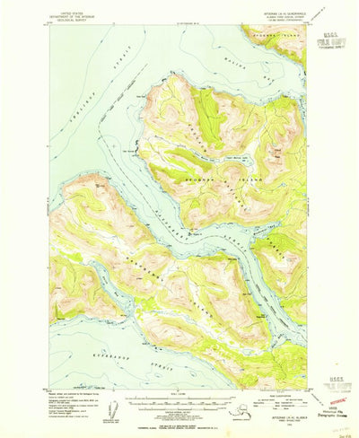 United States Geological Survey Afognak A-4, AK (1953, 63360-Scale) digital map