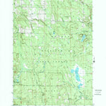 United States Geological Survey Afton, MI (1986, 24000-Scale) digital map