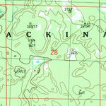 United States Geological Survey Afton, MI (1986, 24000-Scale) digital map