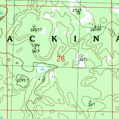 United States Geological Survey Afton, MI (1986, 24000-Scale) digital map
