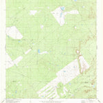 United States Geological Survey Agua Azul Creek East, TX (1980, 24000-Scale) digital map