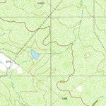 United States Geological Survey Agua Azul Creek East, TX (1980, 24000-Scale) digital map