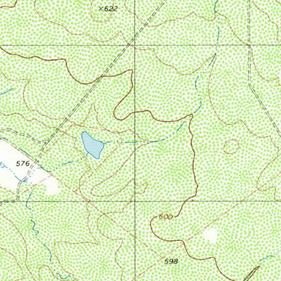 United States Geological Survey Agua Azul Creek East, TX (1980, 24000-Scale) digital map