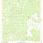 United States Geological Survey Agua Azul Creek West, TX (1980, 24000-Scale) digital map