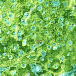 United States Geological Survey Airplane Prairie, FL (1974, 24000-Scale) digital map