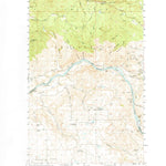 United States Geological Survey Alameda Flat, WA (1950, 62500-Scale) digital map