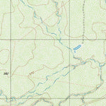 United States Geological Survey Alamito Creek NE, TX (1980, 24000-Scale) digital map