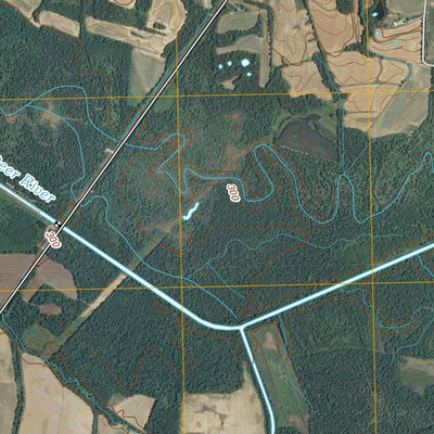 United States Geological Survey Alamo, TN (2010, 24000-Scale) digital map